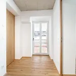 Hopfgarten Alpin Living 1 Apartment